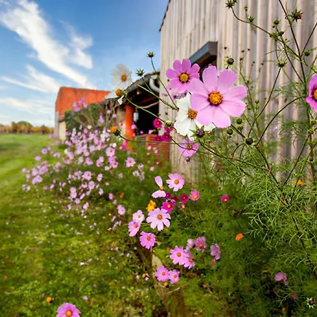 Superbe Maison Avec Piscine Mombrier