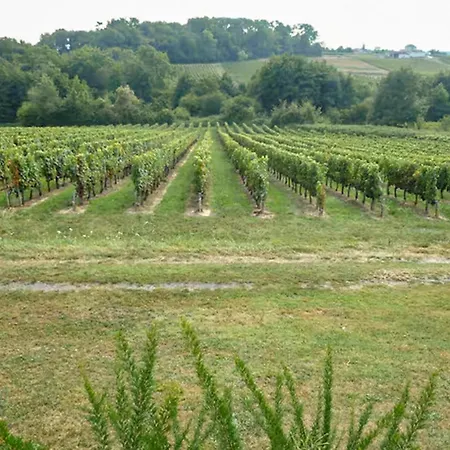 Superbe Maison Avec Piscine Mombrier