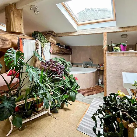 Semesterbostad Superbe Maison Avec Piscine Mombrier