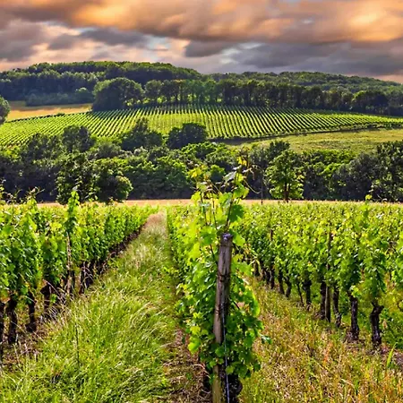 Superbe Maison Avec Piscine Semesterbostad