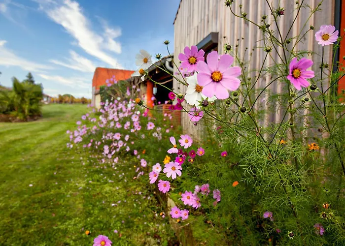Superbe Maison Avec Piscine Mombrier
