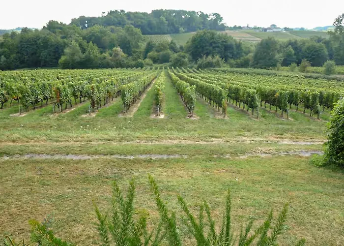 Superbe Maison Avec Piscine Mombrier