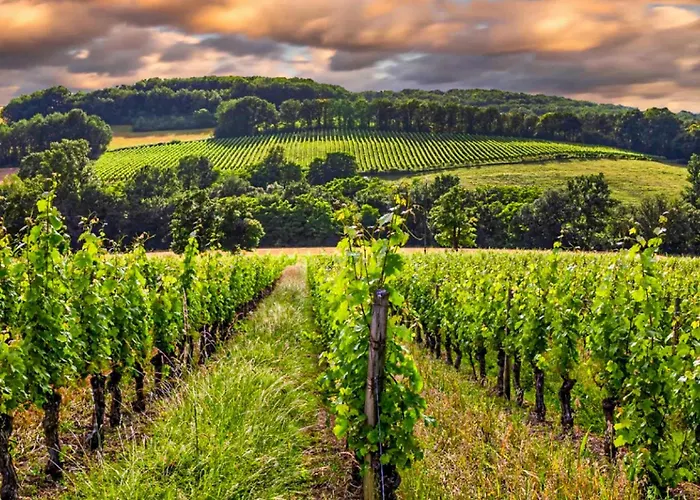 Superbe Maison Avec Piscine Semesterbostad
